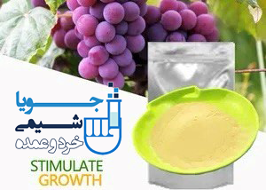 کشاورزی و خوراک دام