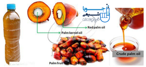 تفاوت ترکیب اسیدهای چرب در روغن پالم و روغن هسته پالم