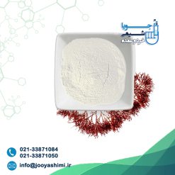کارگینان