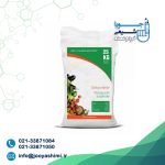 سولو پتاس