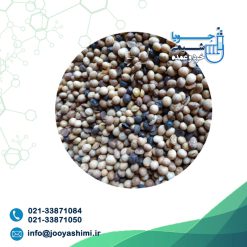 دانه نیم سوز سویا