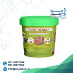 روت هیلر
