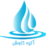 آتیه کاوش پارادیس