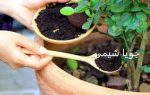 هیومیک اسید ایرانی جویا شیمی