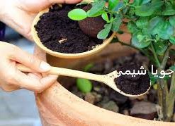 هیومیک اسید ایرانی جویا شیمی