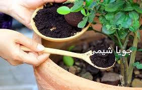 کود گیاهی ثمر هیومیک اسید ایرانی جویا شیمی