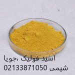 اسید فولیک
