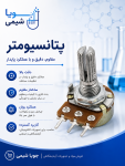 پتانسیومر